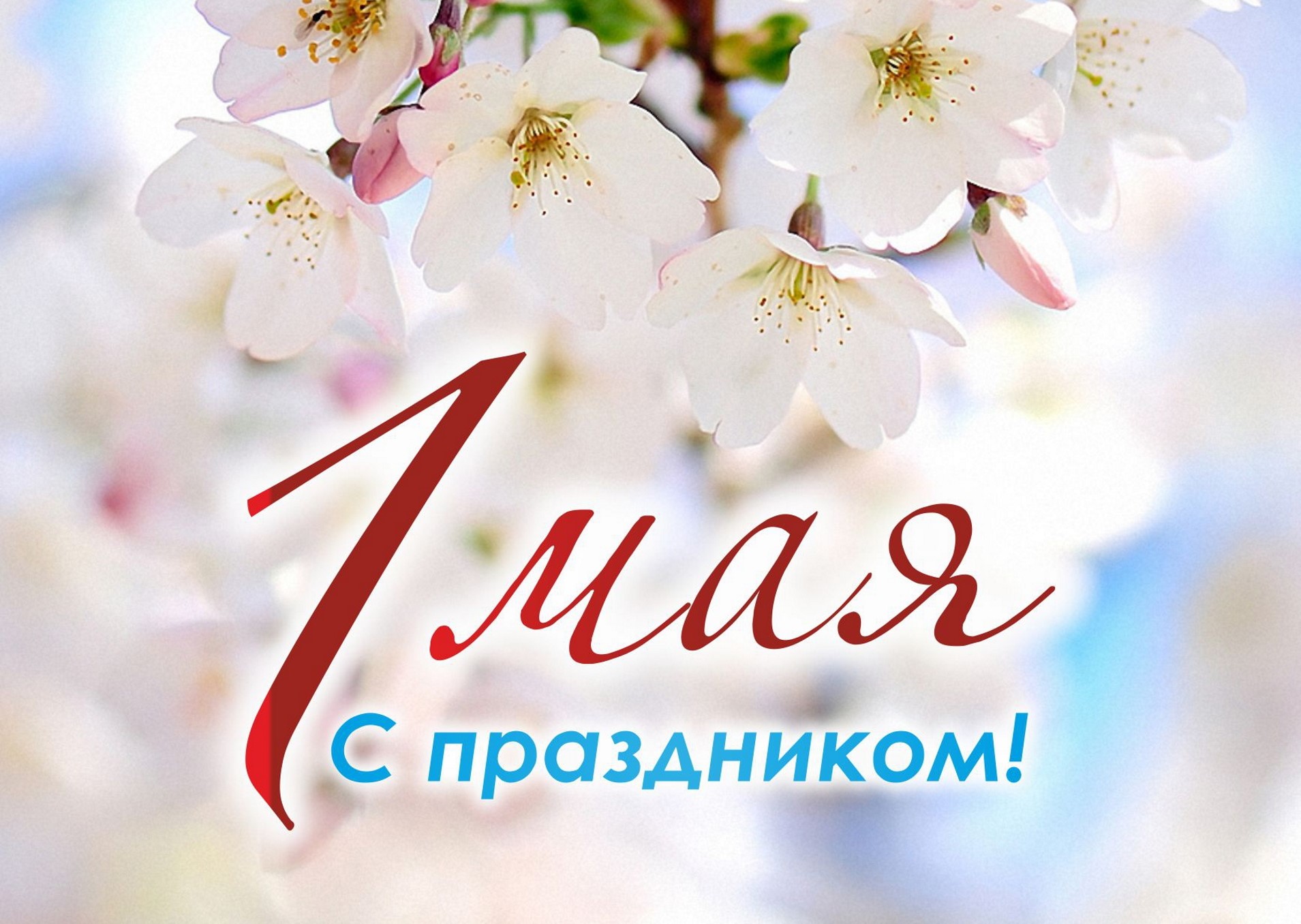 Мир! Труд! Май!.